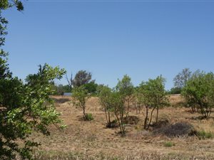 1.2 ha Land available in Lanseria and surrounds