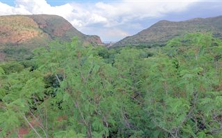 3 Bedroom House in Hartbeespoort Dam
