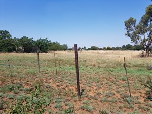 Farm in Mantevrede