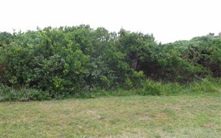 897 m² Land available in Kaysers Beach