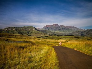 1362 m² Land available in Bergville