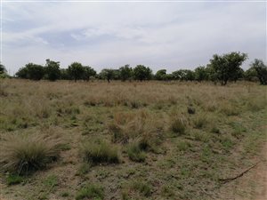 Farm in Hammanskraal