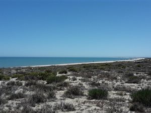 498 m² Land available in Laaiplek