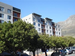 Studio Apartment in Zonnebloem