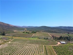 1324 ha Farm in McGregor