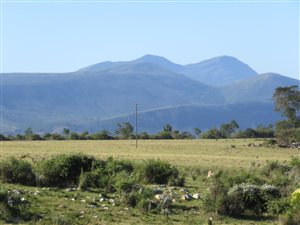 630 ha Farm in Plettenberg Bay