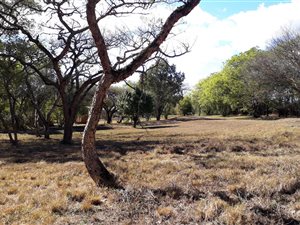 3303 m² Land available in Merrivale