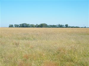 300 ha Farm in Klerksdorp