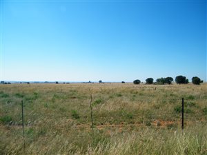 300 ha Farm in Klerksdorp