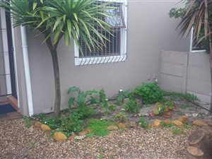 2 Bed House in Weltevreden Valley