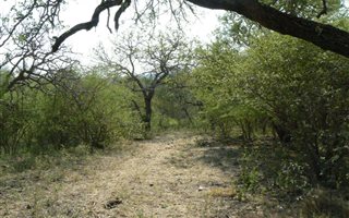 3600 m² Land available in Blyde Wildlife Estate