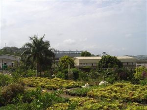 6534 m² Land available in Verulam