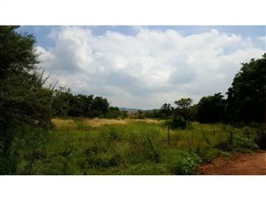 86 ha Land available in Doornrandje
