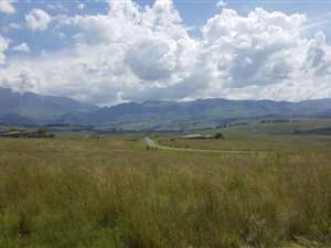 1172 m² Land available in Bergville