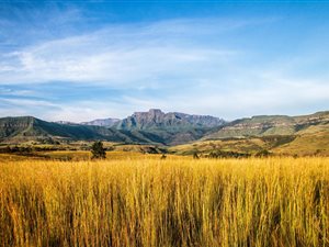 1172 m² Land available in Bergville