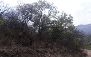 2 ha Land available in Steelpoort