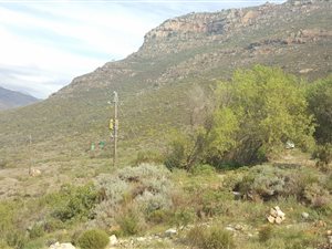 1.2 ha Land available in Tulbagh