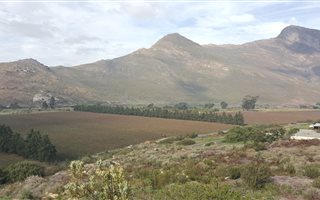 1.2 ha Land available in Tulbagh