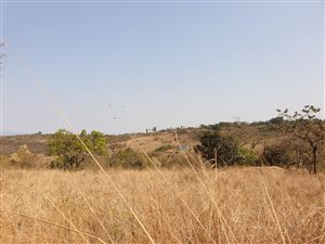 2 ha Land available in Wild Fig Estate