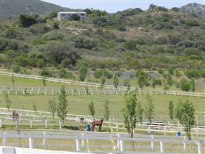 678 ha Farm in Paarl