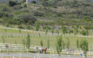 678 ha Farm in Paarl