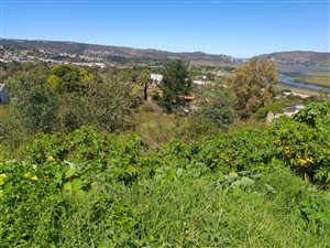 1720 m² Land available in Upper Old Place