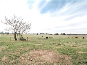 2 ha Farm in Homelands