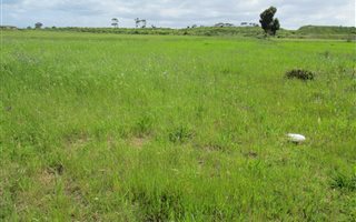 502 m² Land available in Fairview Golf Estate