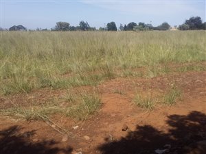 2951 m² Land available in Ohenimuri