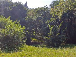 1316 m² Land available in Hibberdene