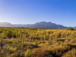 725 m² Land available in Kingswood Golf Estate