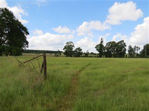 2855 m² Land available in Belfast
