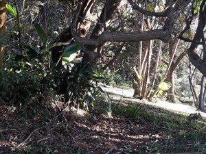 1919 m² Land available in Leisure Bay