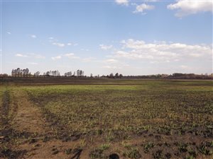 6.5 ha Land available in Donkerhoek