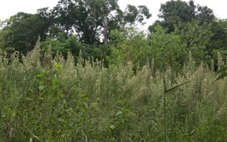 1000 m² Land available in New Hanover
