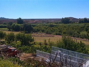 19.7 ha Farm in Calitzdorp