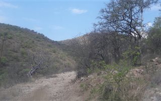 2.1 ha Land available in Steelpoort