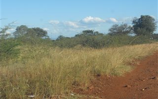 450 m² Land available in Lebowakgomo