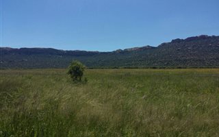 647.5 ha Farm in Winburg