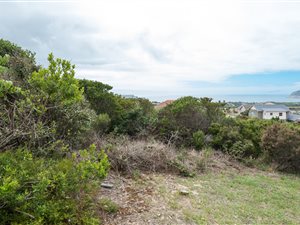 487 m² Land available in Whale Rock Heights