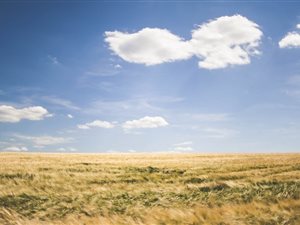 2 ha Land available in Lincoln Meade
