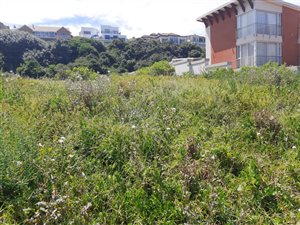 1125 m² Land available in Glentana