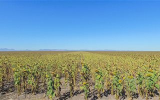 1351 ha Farm in Thabazimbi