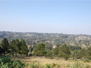 4293 m² Land available in Bothas Hill