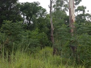 1000 m² Land available in New Hanover