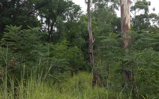 1000 m² Land available in New Hanover