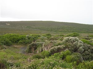 595 m² Land available in Agulhas