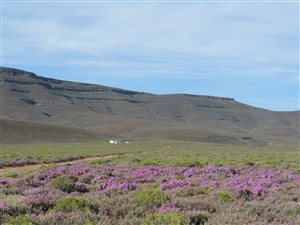 2856 ha Farm in Ceres