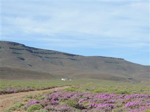 2856 ha Farm in Ceres
