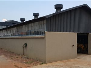 1000 m² Industrial space in Dunswart